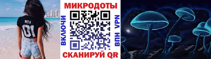 Купить закладки  Тбилисская  Псилоцибиновые грибы MAGIC MUSHROOMS 